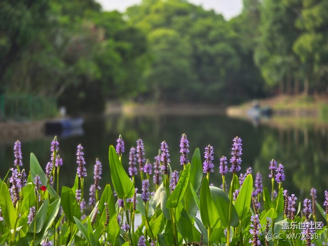 #今夏，當(dāng)下——散步