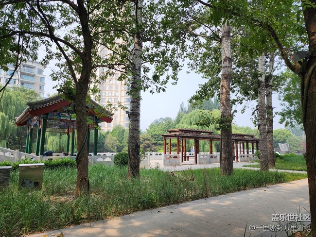 【色彩與光影的邂逅】踏青納涼去河邊