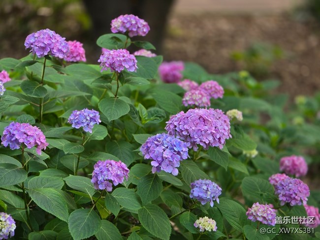 #今夏，當(dāng)下——散步