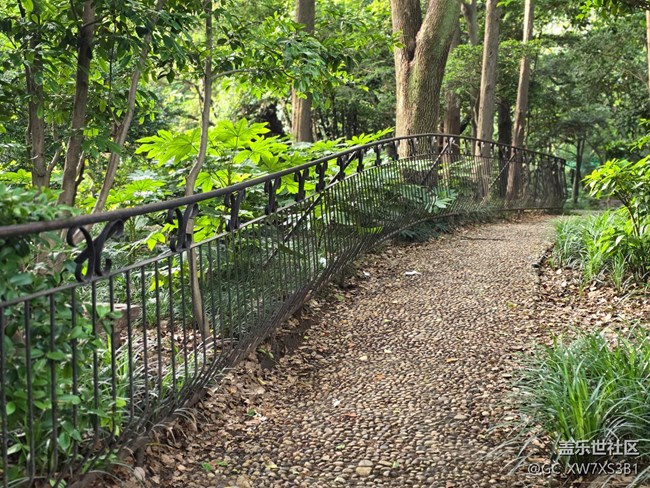 #今夏，當(dāng)下——散步