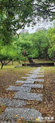 平步青云，天天向上