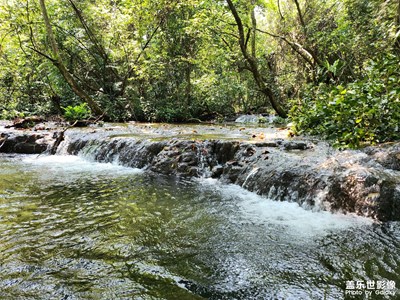 【如影隨形】+ 水上相思林