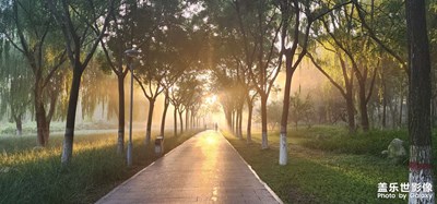 【如影隨形】+ 晨光