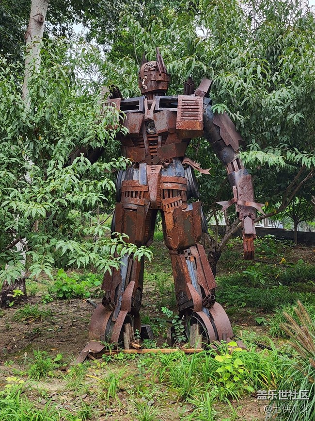 【色彩與光影的邂逅】納涼的機器人