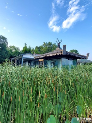 【如影隨形】+ 水燭園