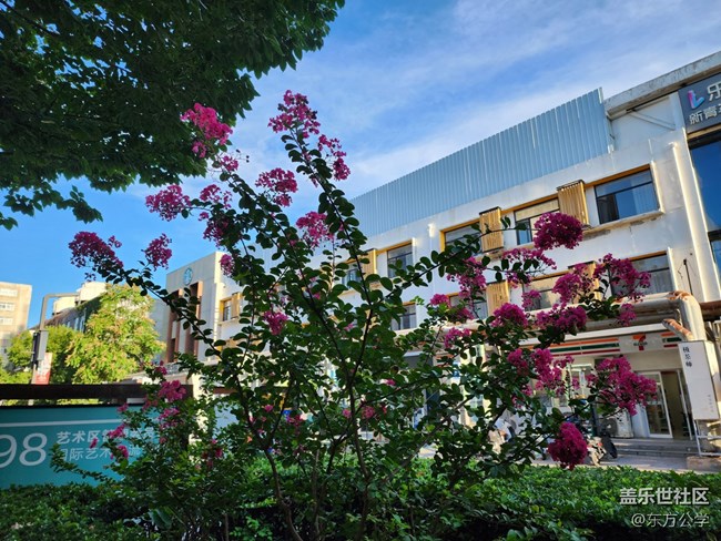 【色彩與光影的邂逅】藍天白云的時刻