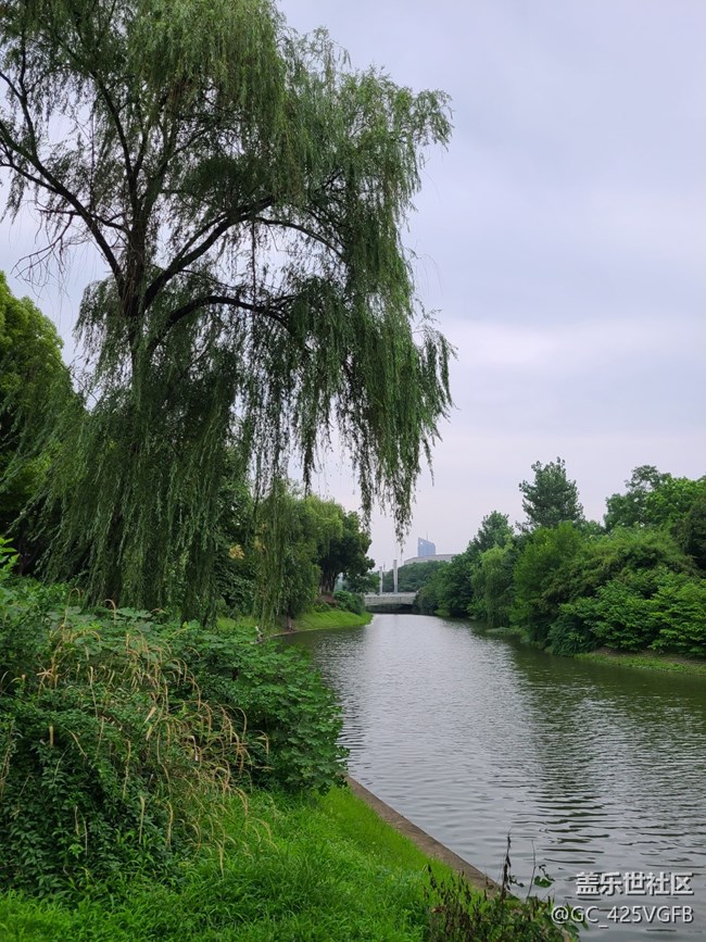 【多姿多彩的生活】夏日生活