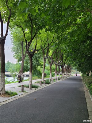 【如影隨形】夏日隨拍