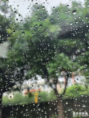 【如影隨形】+ 光影生活