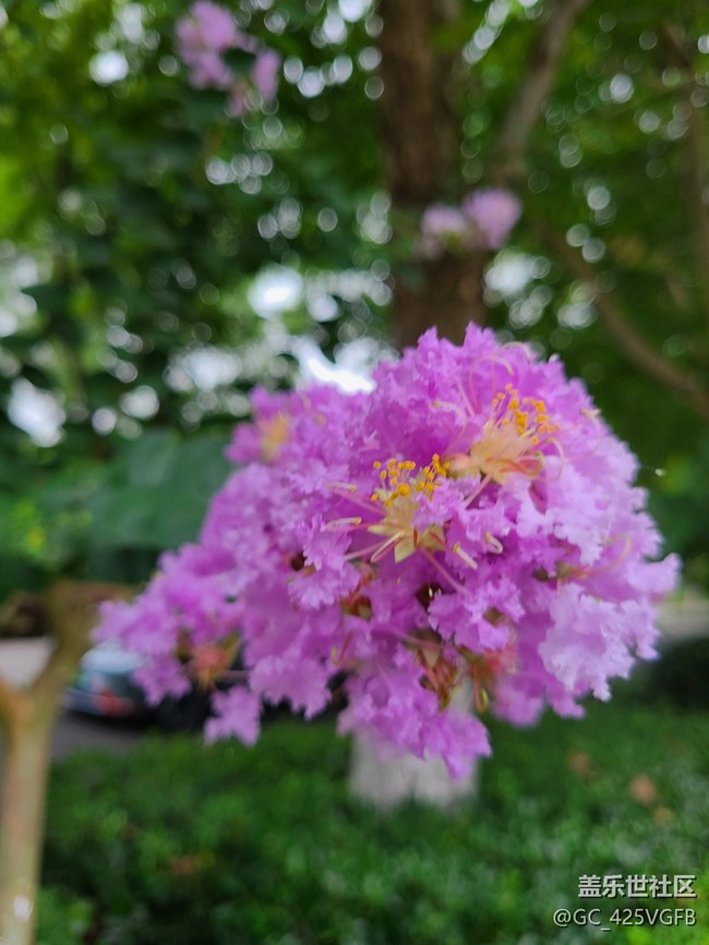 【多姿多彩的生活】夏日生活