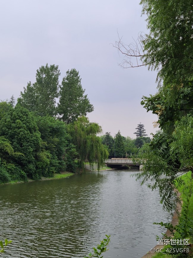 【多姿多彩的生活】夏日生活