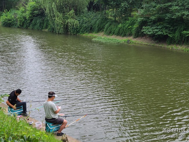 【多姿多彩的生活】夏日生活