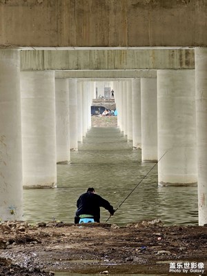 【如影隨形】+ 垂釣