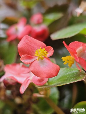 【如影隨形】+ 光影生活