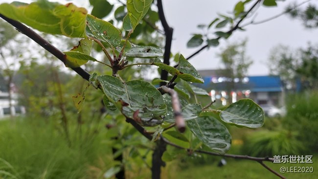 【色彩與光影的邂逅】雨后清新的空氣