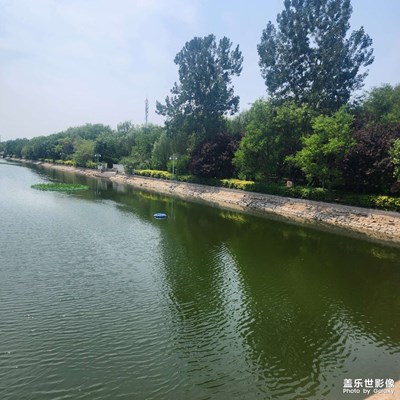 如影隨形 入夏隨拍