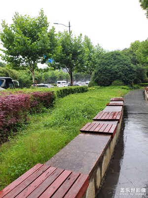 【如影隨形】+?雨后公園