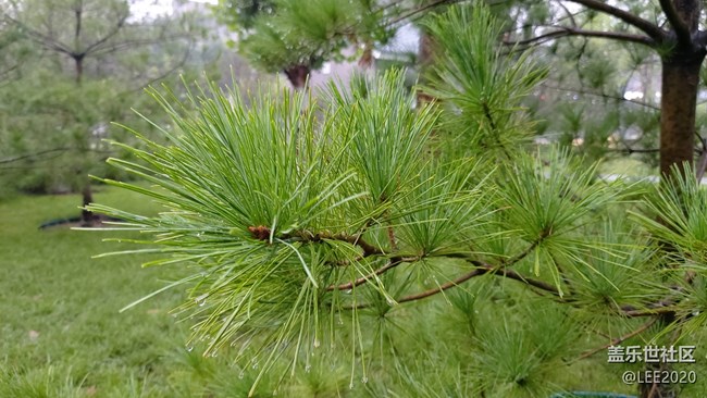 【色彩與光影的邂逅】雨后清新的空氣