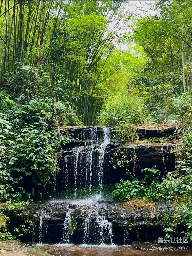 【色彩與光影的邂逅】避暑竹林溪水間