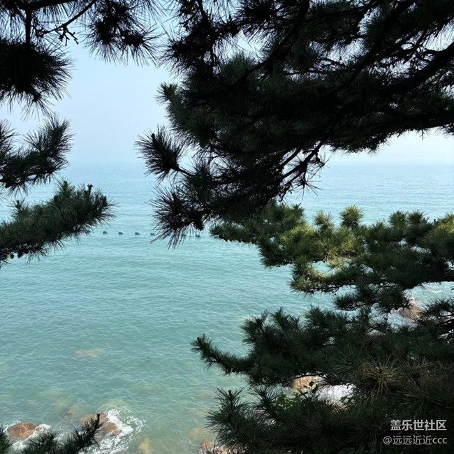 【光影盛宴】青島之旅