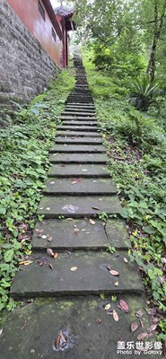 【如影隨形】+ 守護(hù)寄托