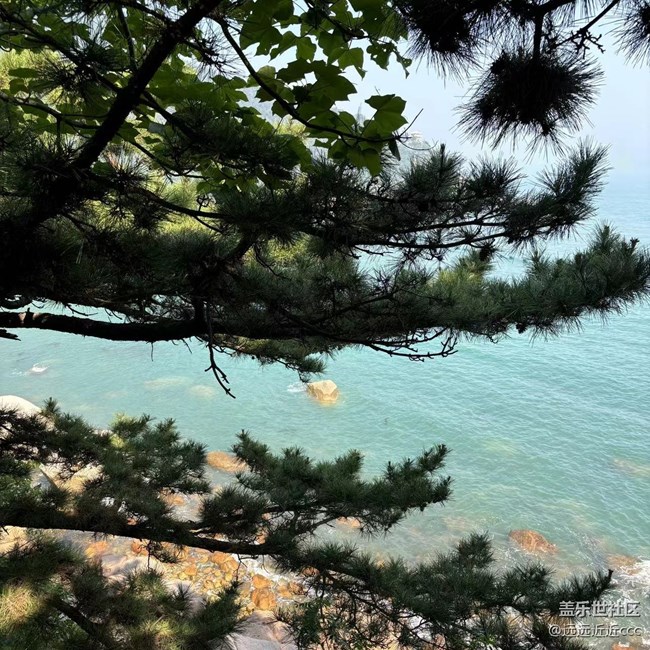 【光影盛宴】青島之旅