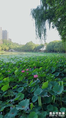 風(fēng)景，風(fēng)景，在世間尋找行走的前世之旅