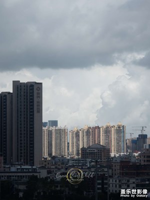 【如影隨形】行則將至