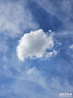 【如影隨形】隨手拍