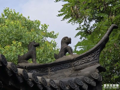 【如影隨形】走走拍拍