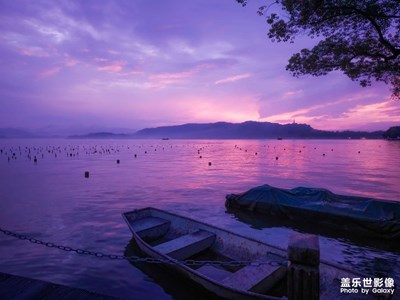 今天的西湖真的很好看
