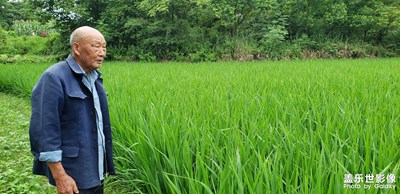 【嘉攝】這一片土地