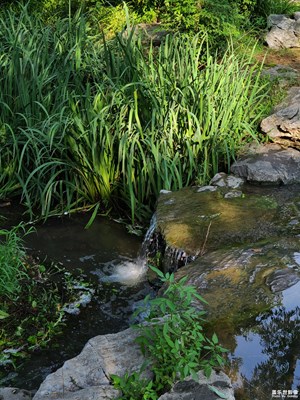 【如影隨形】炎熱的夏天