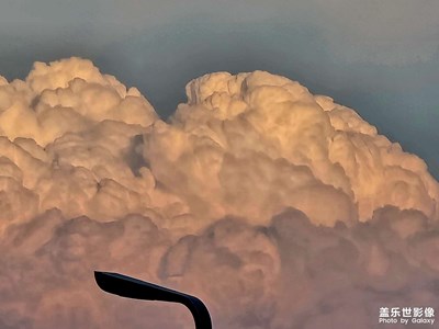 【如影隨形】+ 云生活