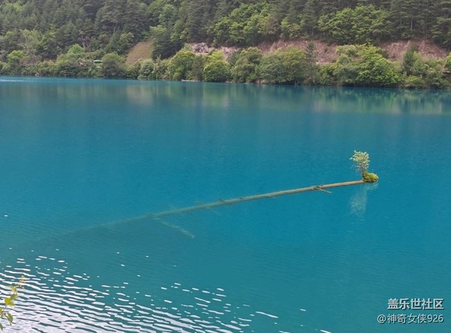 【旅行日記】絕美四川九寨溝
