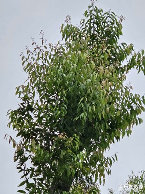 【如影隨形】+隨手拍