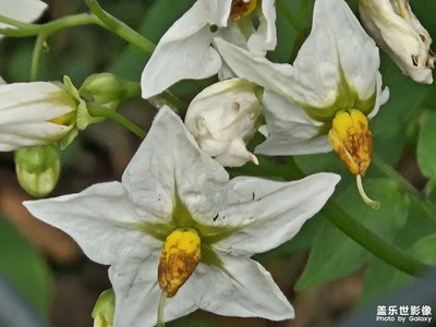 【如影隨形】+微風拂過