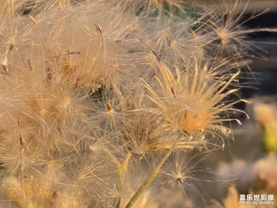 【如影隨形】+ 光影世界