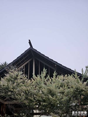 【七月風(fēng)光】屋脊