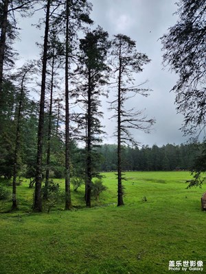 【七月風(fēng)光】大自然氧吧