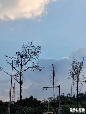 【如影隨形】天上的云