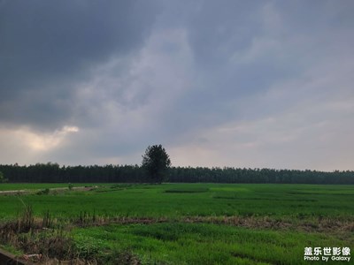 【七月風(fēng)光】變幻的天氣