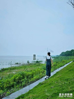 【七月風(fēng)光】煙雨朦朧岳陽樓