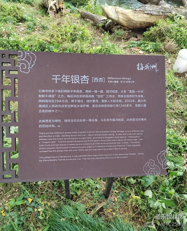 【小眾旅行地】嘉興梅花洲