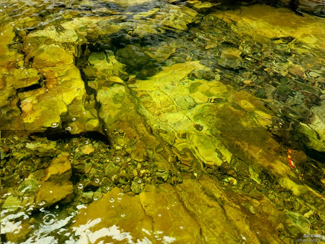 【開獎(jiǎng)】鄭州星部落七月線上攝影活動(dòng)