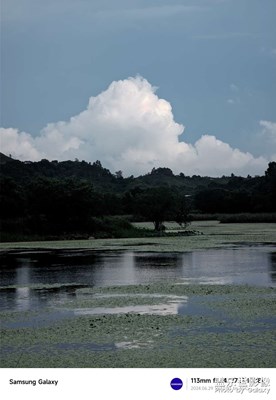 【多巴胺的夏天】真的云