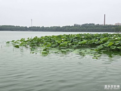 【七月風(fēng)光】+幸福湖公園