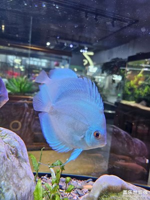 【七月風(fēng)光】七月好心情