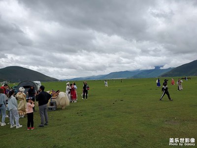 【七月風光】那拉草原