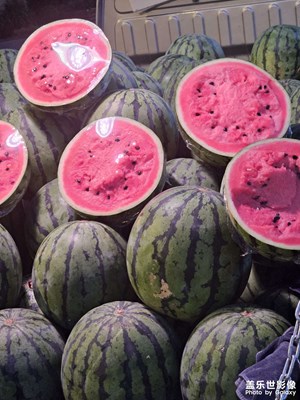 【多巴胺的夏天】夏日元素